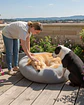 Cama Acolchada de Alta Densidad para tus mascotas 70 cm - Miniatura 6