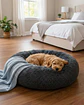 Cama Acolchada de Alta Densidad para tus mascotas 70 cm - Miniatura 2