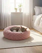 Cama Acolchada de Alta Densidad para tus mascotas 80 cm - Miniatura 1