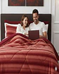 Cubrecama2 plazas Invierno Soft Touch Premium Chiporro - Miniatura 2