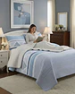 Cubrecama Quilt Con Sherpa Plaza y Media Diseño Elegante 180x230cm - Miniatura 2