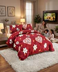 Cubrecama Plush 2 Plazas con Chiporro Térmico Extra Suave Invierno - Miniatura 4