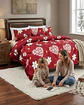 Cubrecama Plush 2 Plazas con Chiporro Térmico Extra Suave Invierno - Miniatura 5