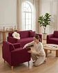 Juego de Cubre Sillón 3+1+1 Texturizado Premium - Ajuste Perfecto - Miniatura 3