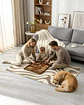 Alfombra Living y Dormitorio Decoración Para Hogar Minimalista - Miniatura 7