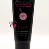 ACRYGEL COSIA 60 GR