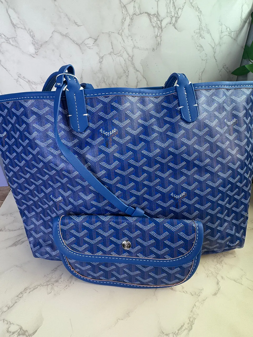 Goyardia Tote Τσάντα 5