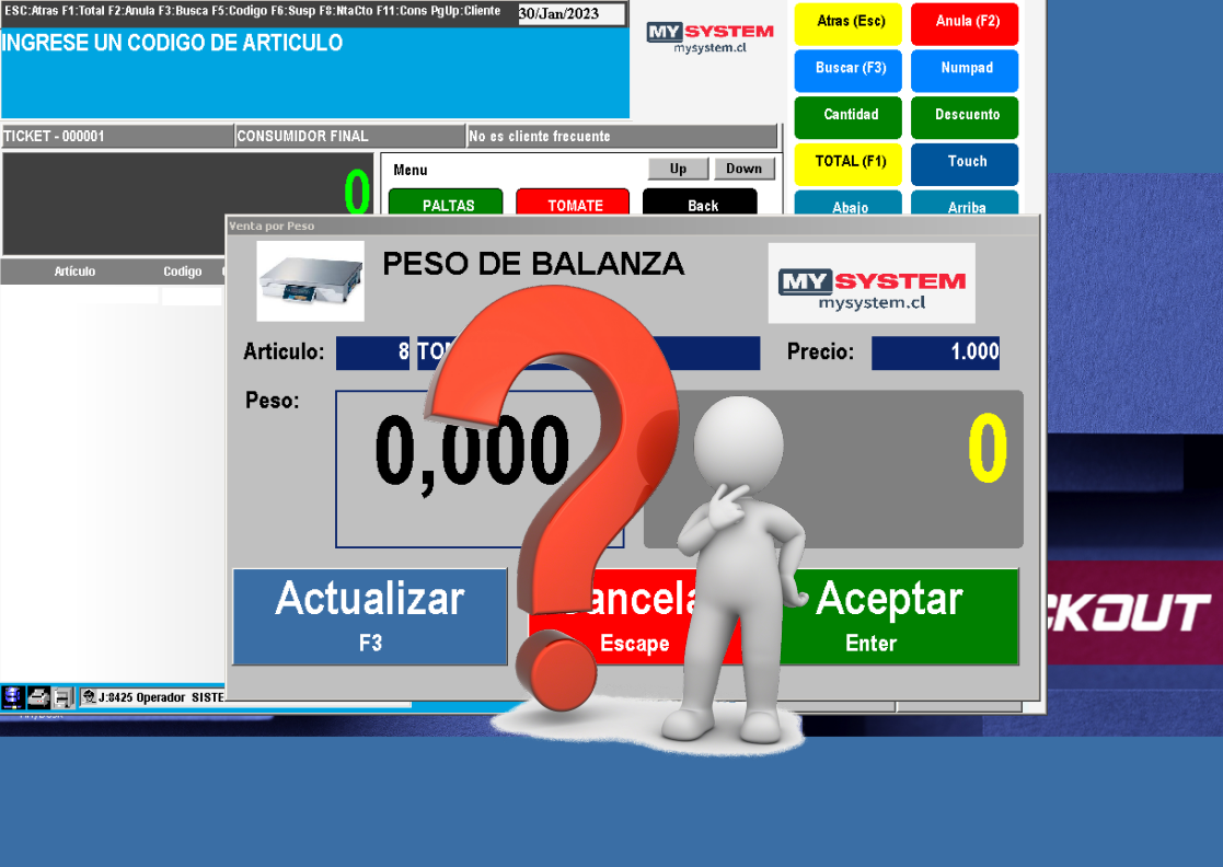 El sistema no toma los valores de la Balanza, pero antes si