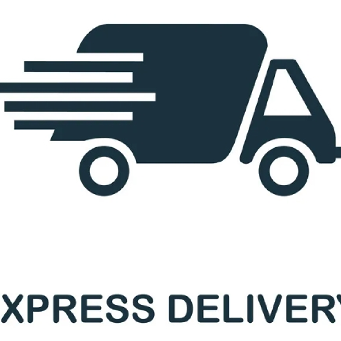 Envío Express Lite (sólo región met.) 1