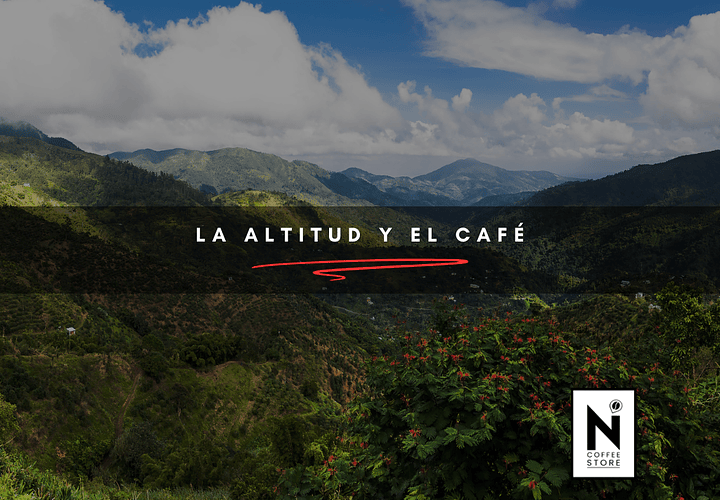 La altitud y el café