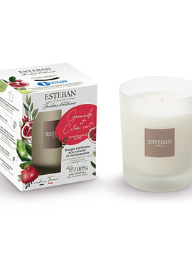 POMEGRANATE AND LIME SCENT CANDLE