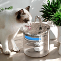 Fuente Bebedero Para Gatos Y Mascotas Automático