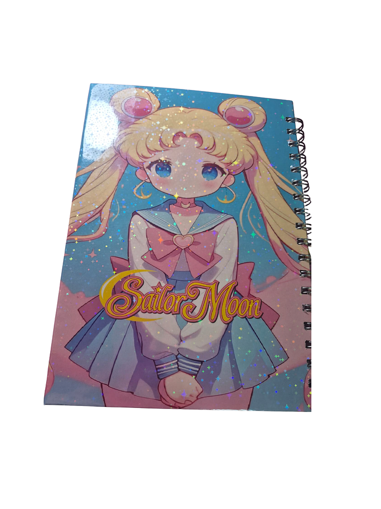 Agenda doble anillado y libreta   tamaño B5  1