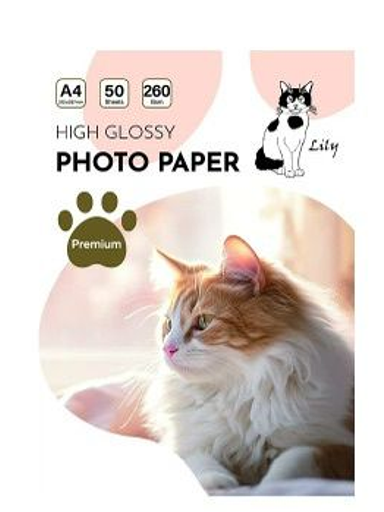 Papel Fotográfico Brillante Marca LILY  260gr 1