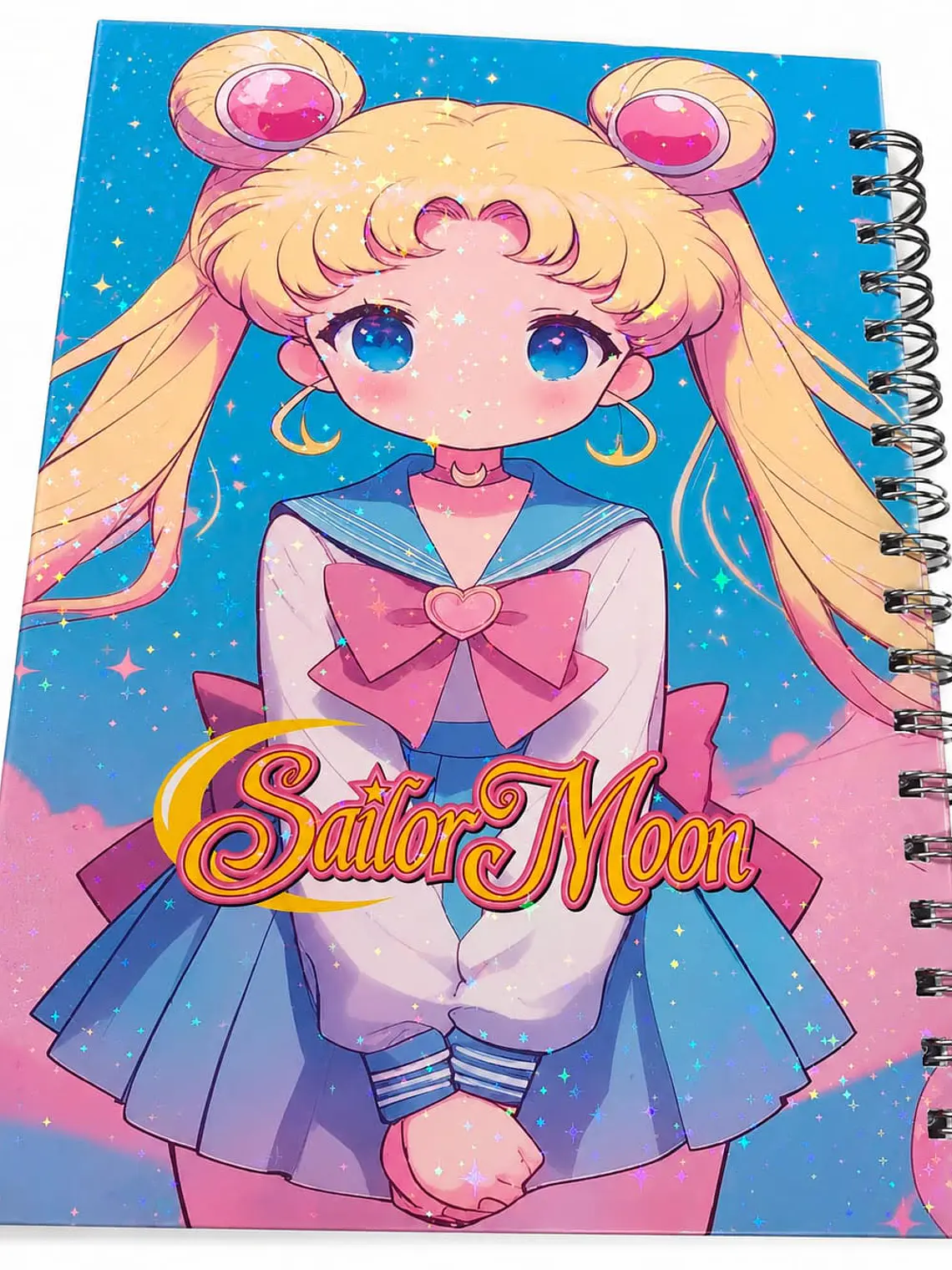 Agenda doble anillado y libreta   tamaño B5  1