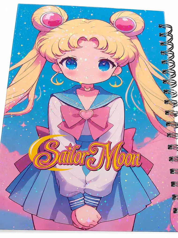 Agenda doble anillado y libreta   tamaño B5  1