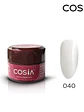 Gel Paint Cosia - Miniatura 2