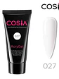 Acry Gel Cosia 60g - Miniatura 1