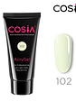 Acry Gel Cosia 60g - Miniatura 12