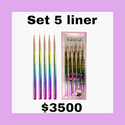 Liner 5 unidades 