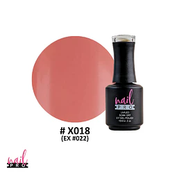 X018 nude damasco 