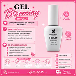 Base blooming para diseños 
