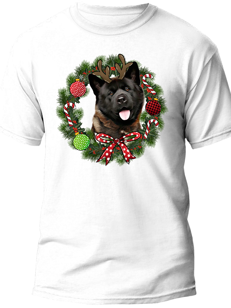 Akita Navidad  1
