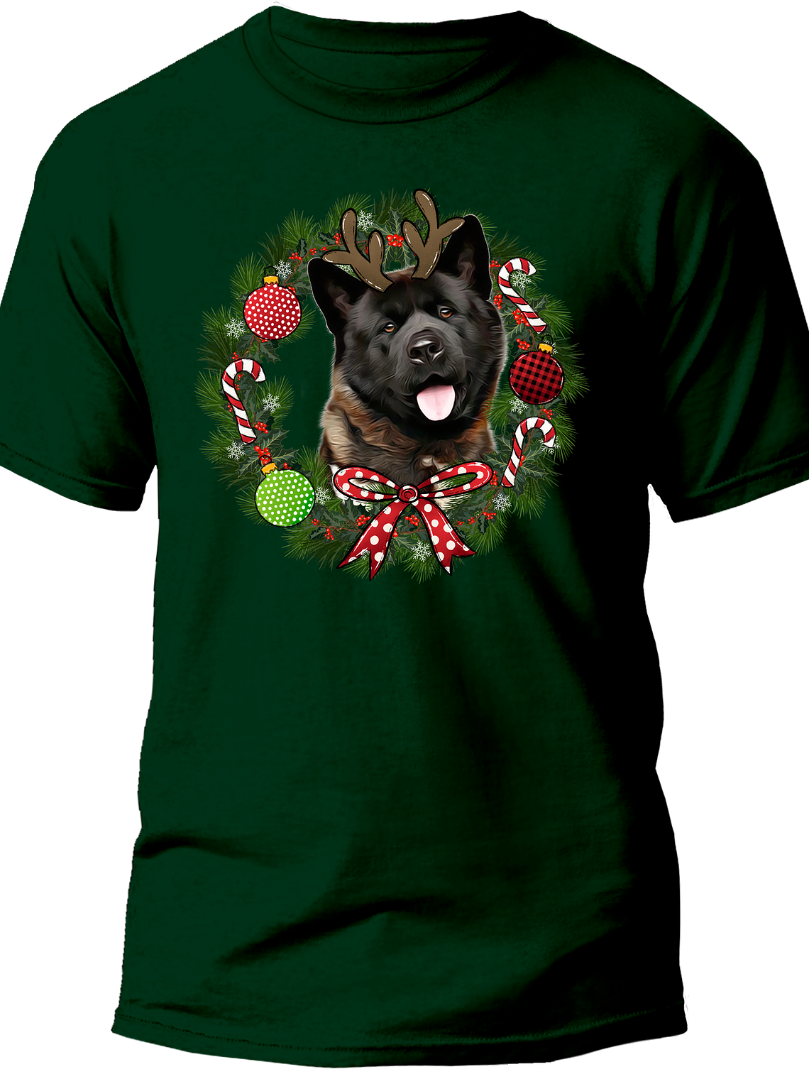 Akita Navidad  2