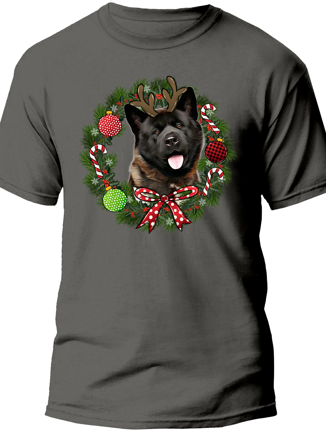 Akita Navidad  4