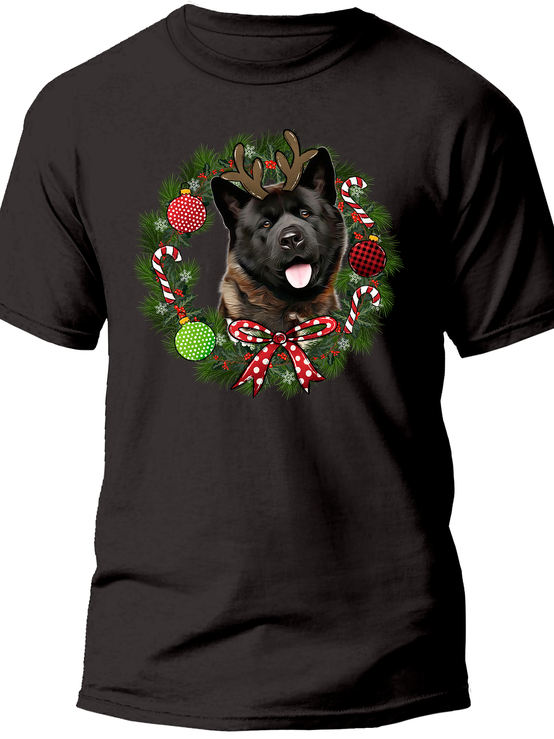 Akita Navidad  6