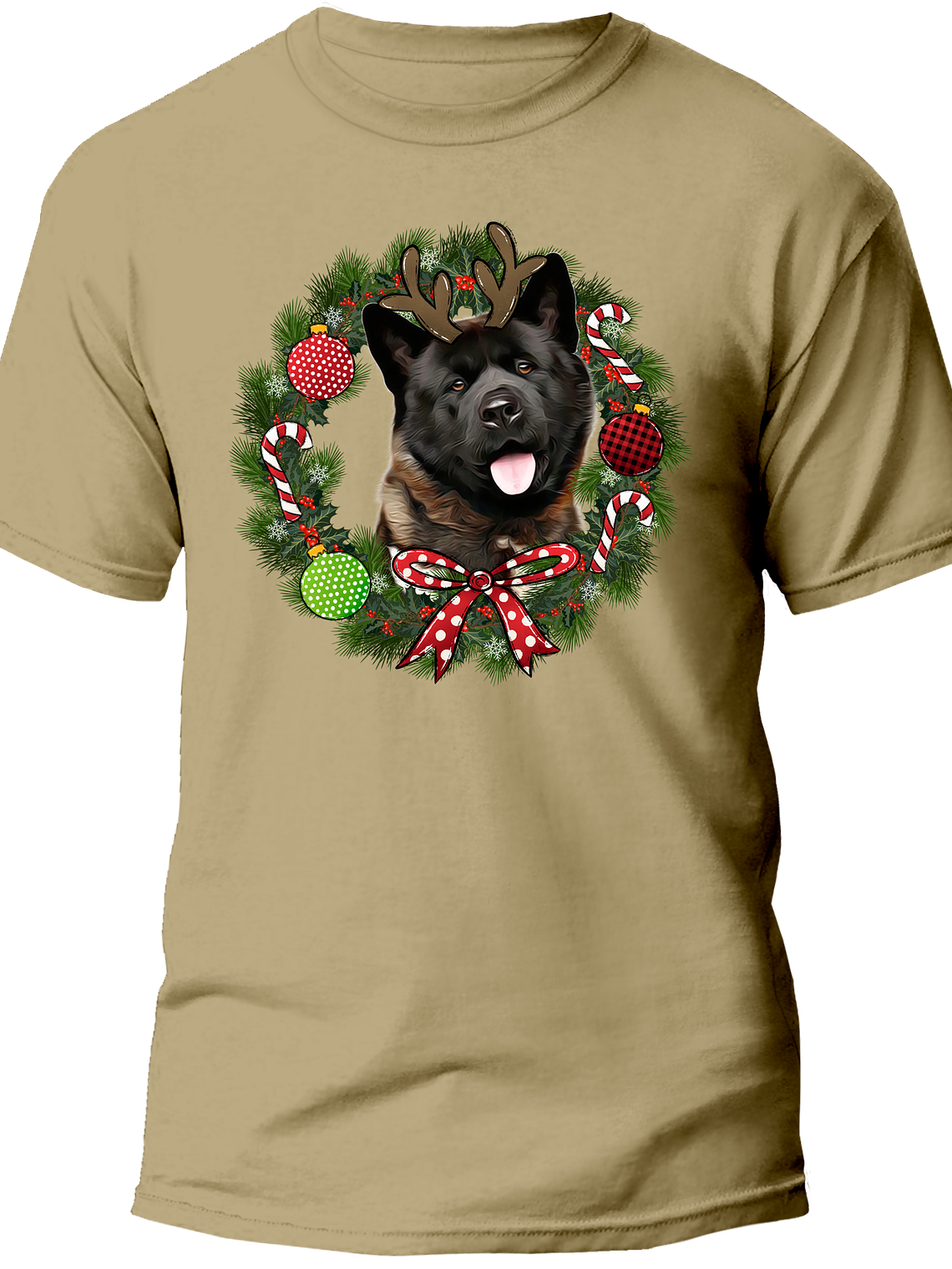 Akita Navidad  8