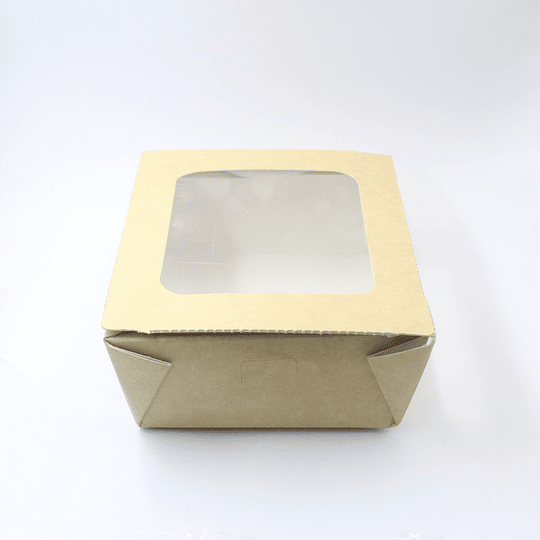 10x CONT ECOLOGICO 16X12X5CM PRC0002