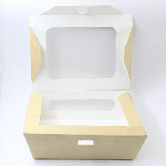 10x CONT ECOLOGICO 20X14X6CM PRC0001