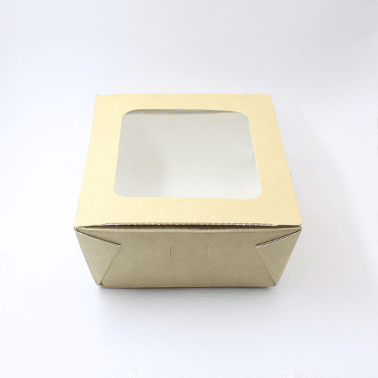 10x CONT ECOLOGICO 20X14X6CM PRC0001