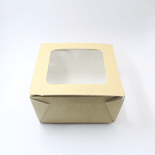 10x CONT ECOLOGICO 20X14X6CM PRC0001