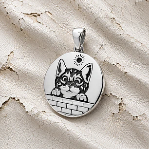 Gato