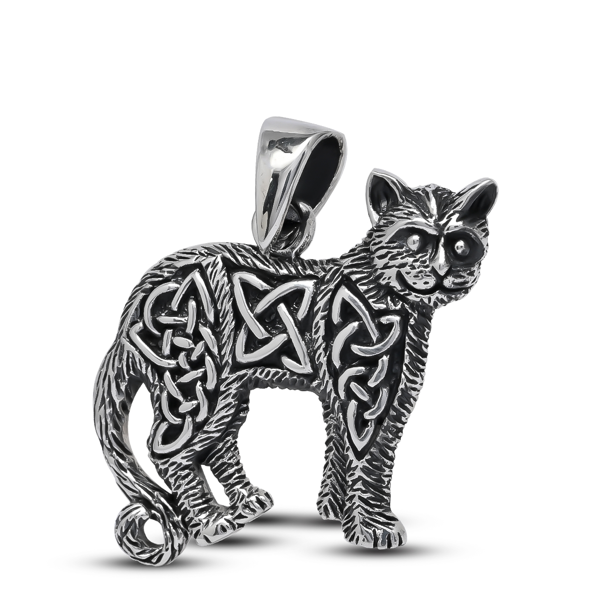Gato Bruja