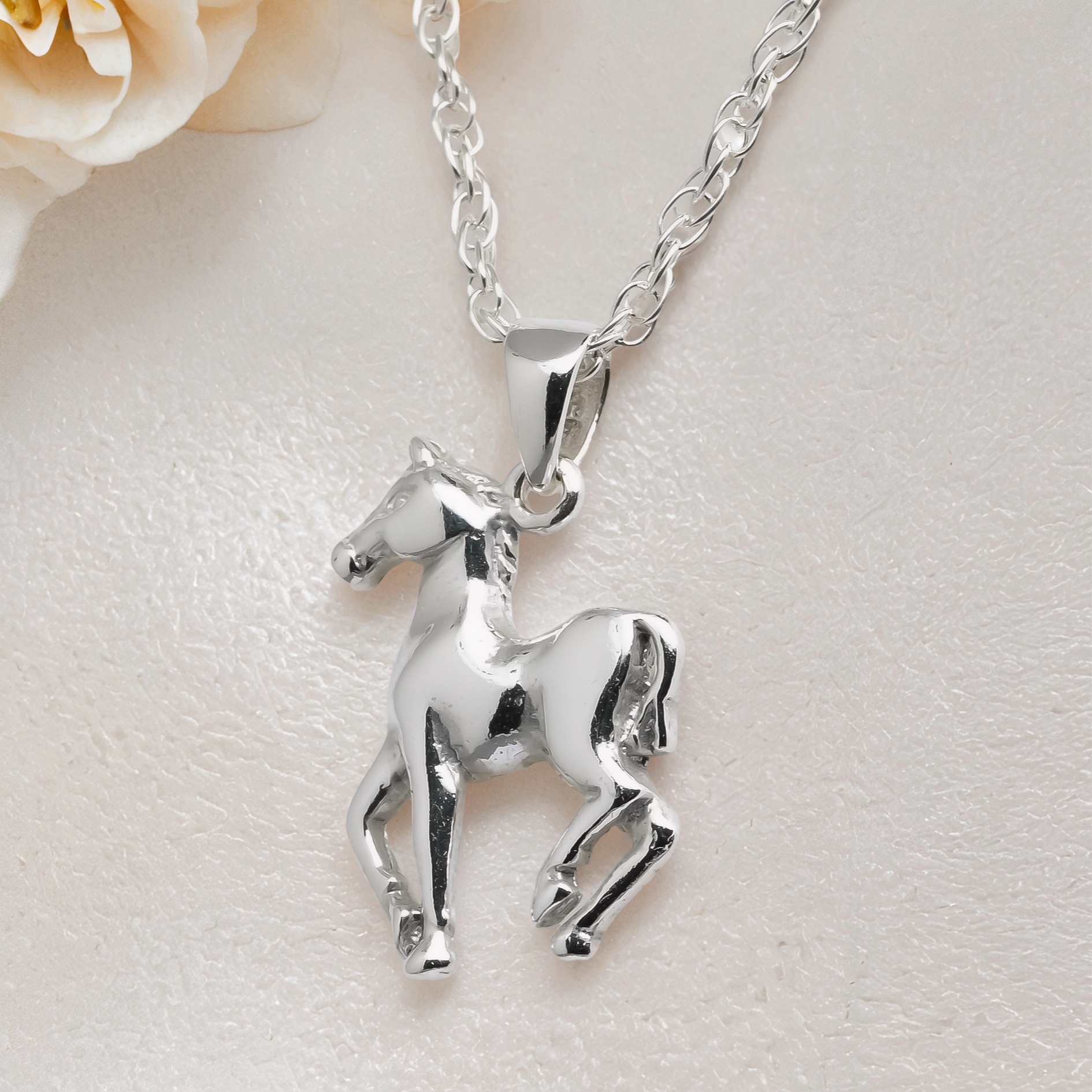 Caballo Pequeño