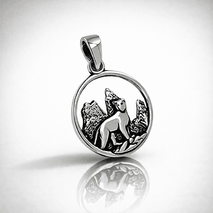 Puma torres delpaine