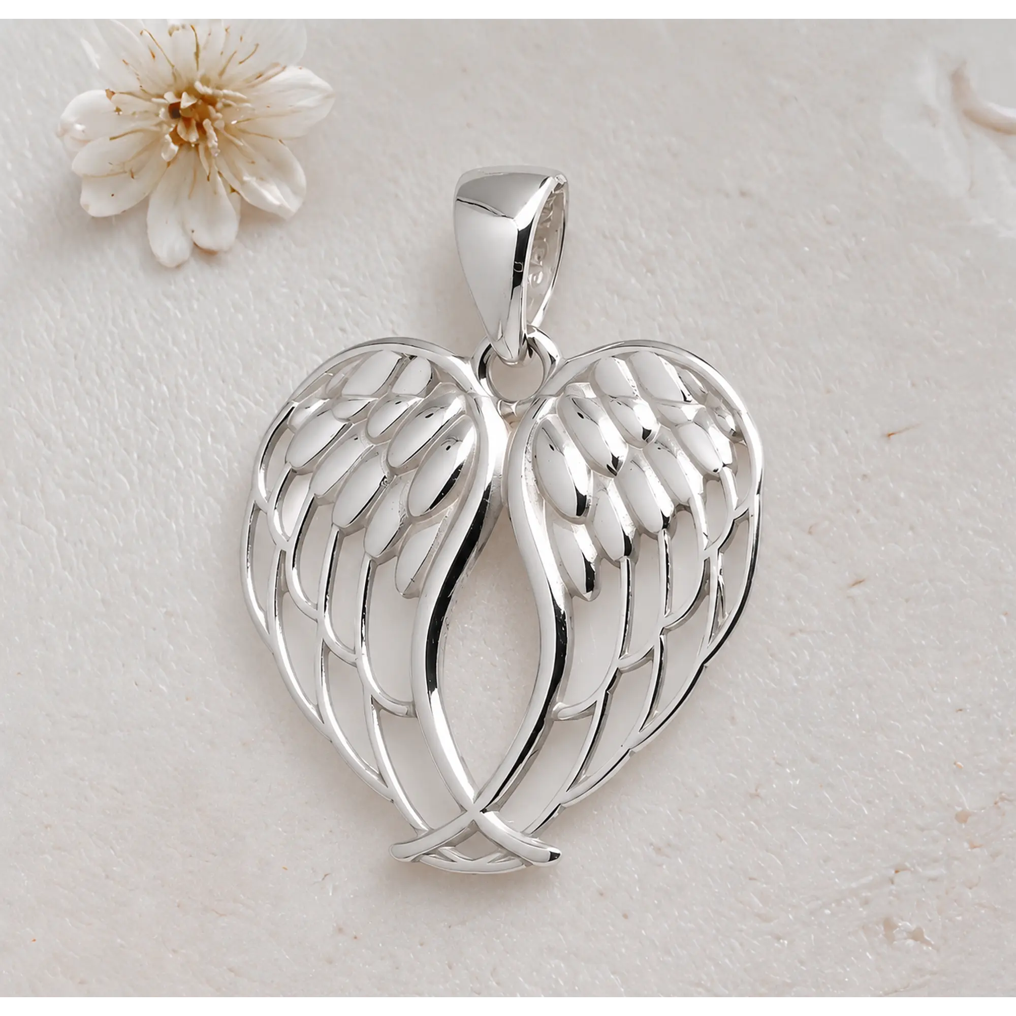 Alas de angel 1