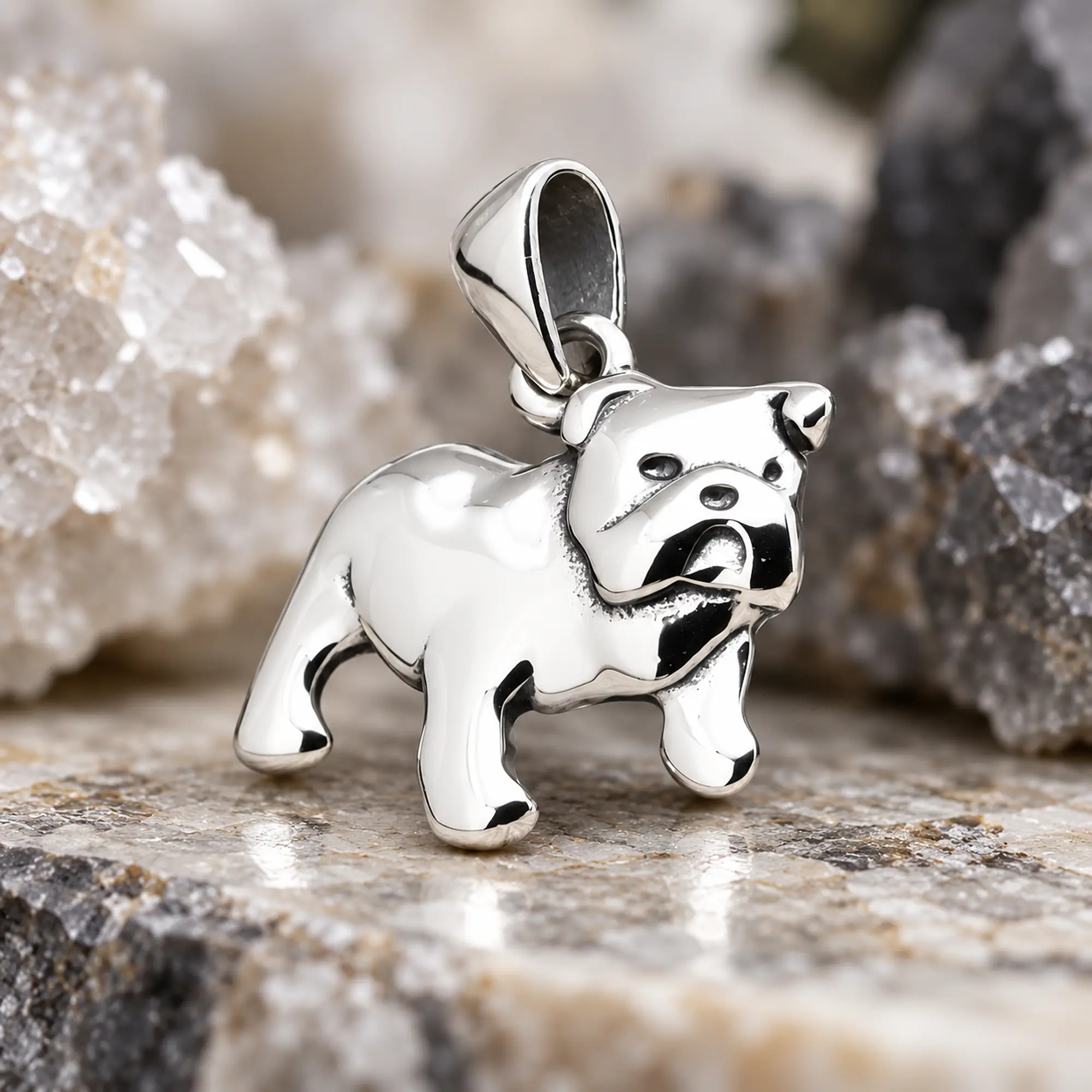 Bulldog 1