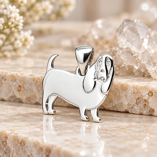 Basset Hound 