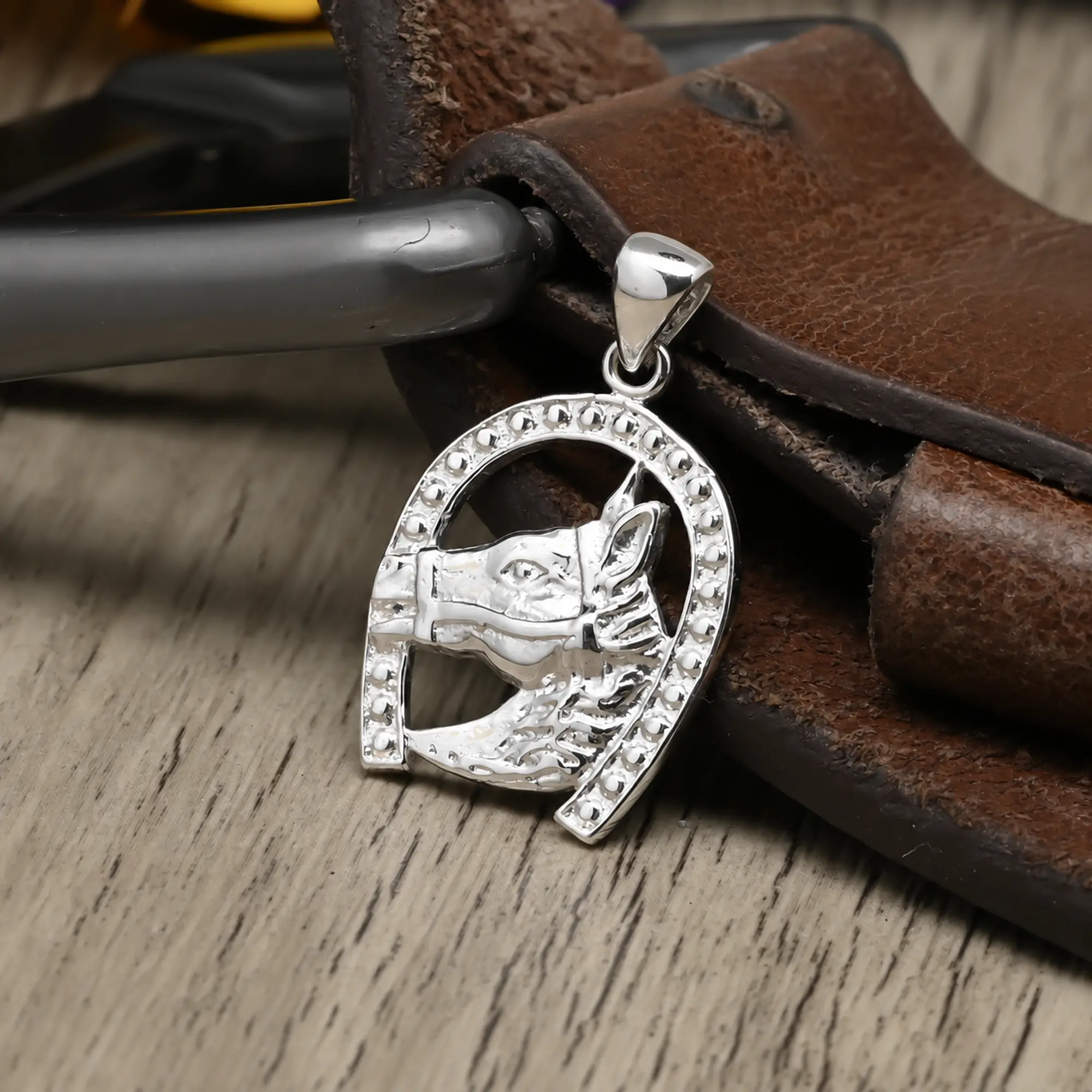Caballo Herradura 1
