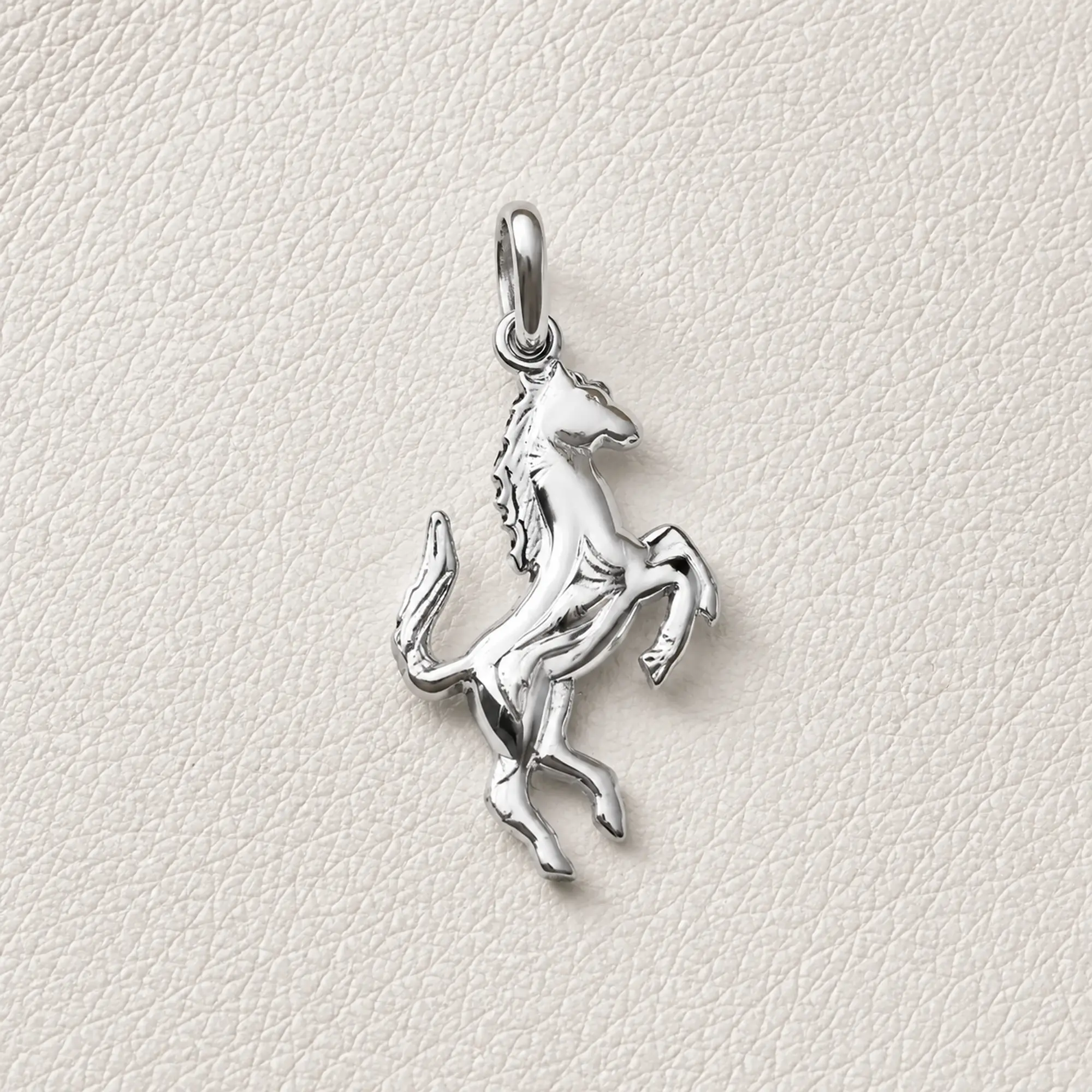 Caballo  1