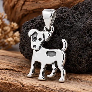 Jack Russell Terrier