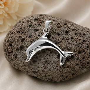 Delfin 