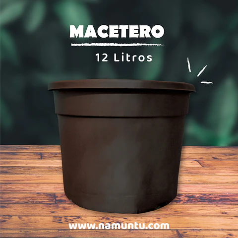Macetero 12L
