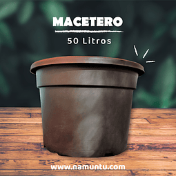 Macetero 50L