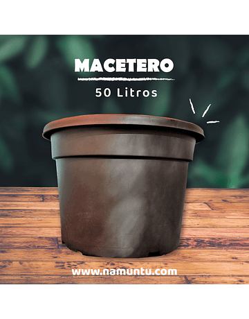 Macetero 50LT