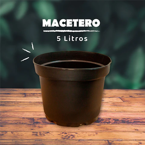 Maceta 5L